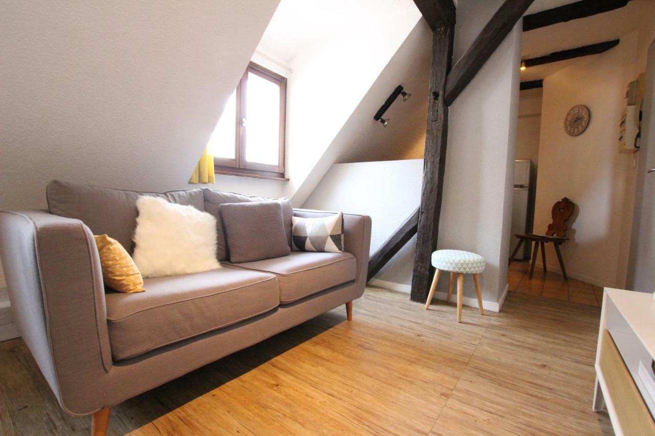 Colmar City Center - Appartement Petit Ours - Bookingalsace 외부 사진